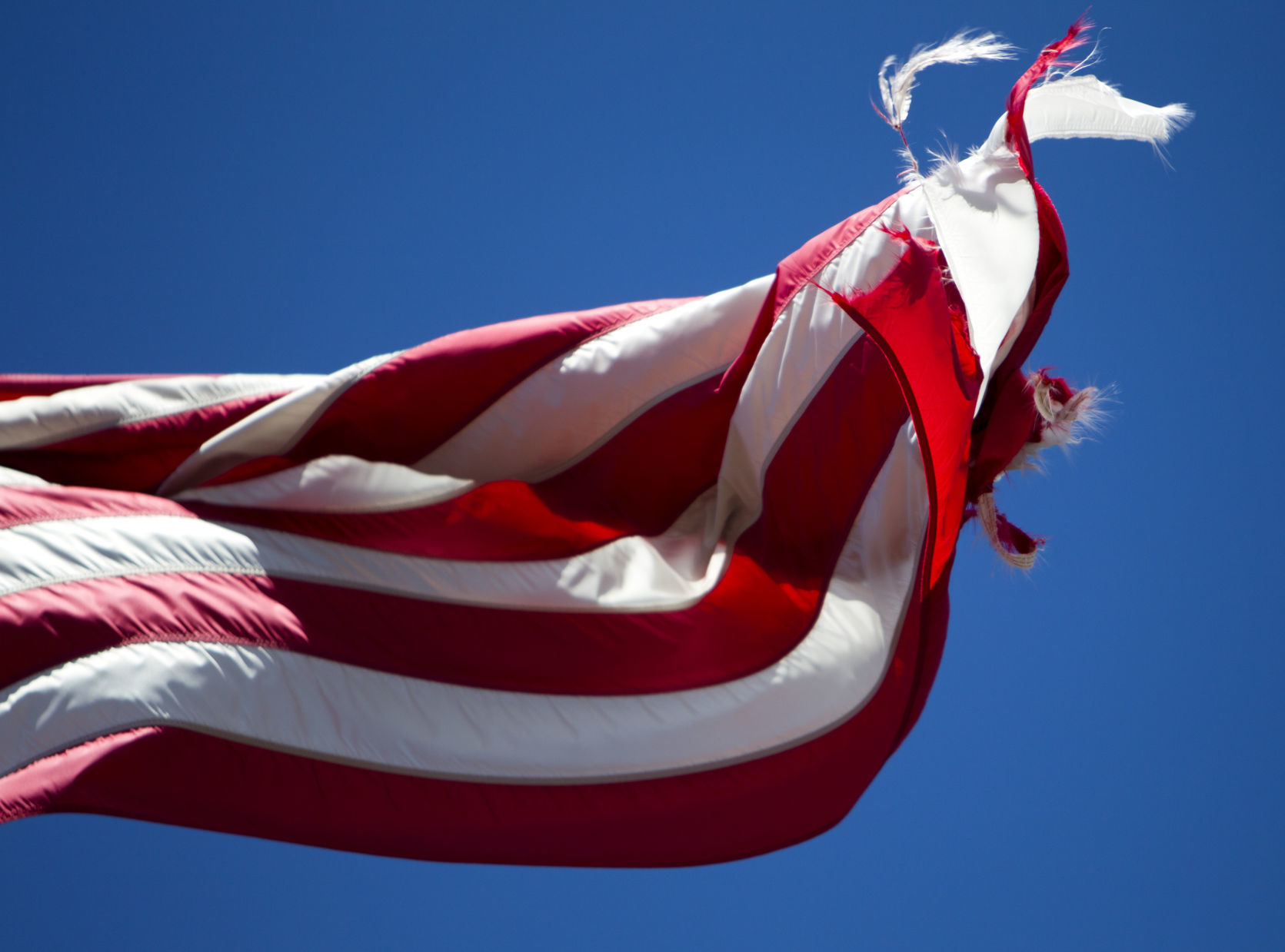 Flag Day